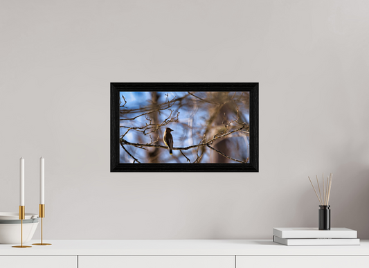 16 x 9″, basic Crisp Morning