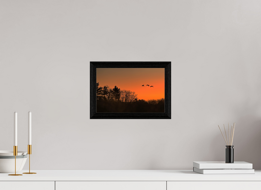 12 x 8″, basic Morning Flight