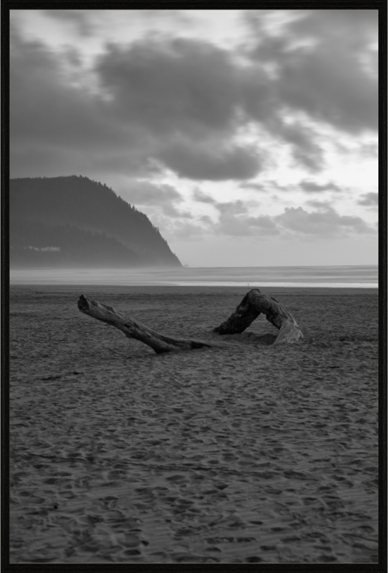 Main image Lonely Beach v2
