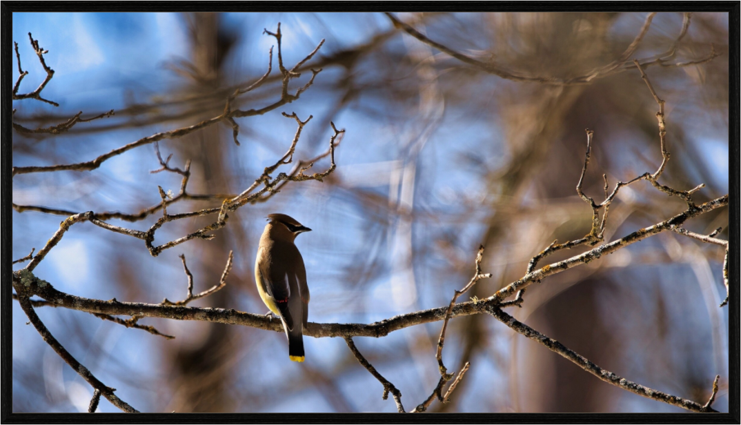 Main image Crisp Morning