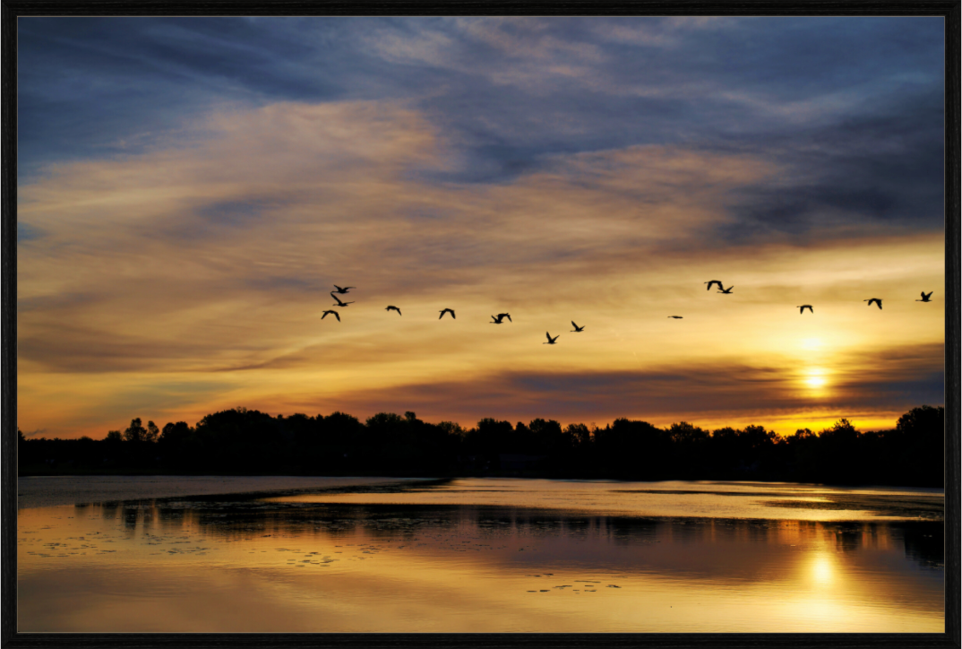 Main image Dreamy Morning