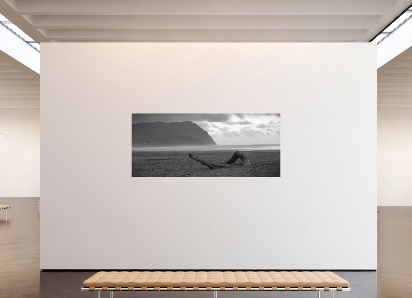 91.4 x 39″, Photo Print On Fuji Crystal DP II Lonely Beach