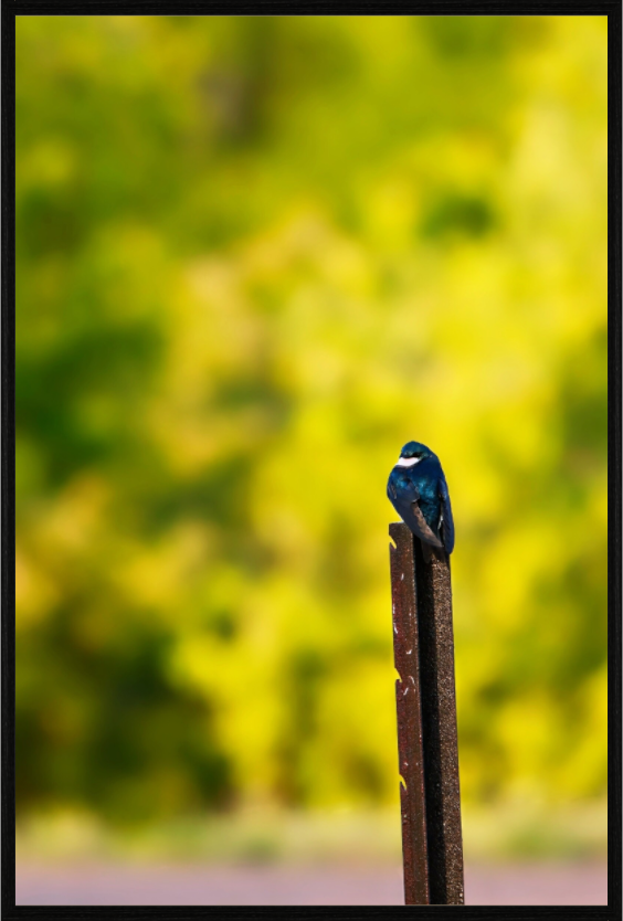 Main image Moody Morning