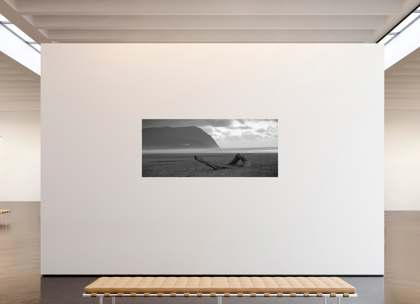 82 x 35″, Photo Print On Fuji Crystal DP II Lonely Beach