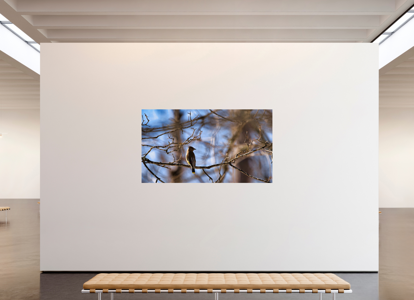 80 x 45″, Photo Print On Fuji Crystal DP II Crisp Morning